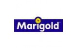 MARIGOLD