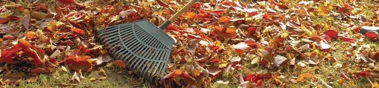Garden Hand Tools