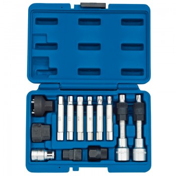 Alternator Pulley Tool Kit (13 Piece)