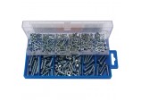 Panhead Screw and Nut Assortment (366 Piece)