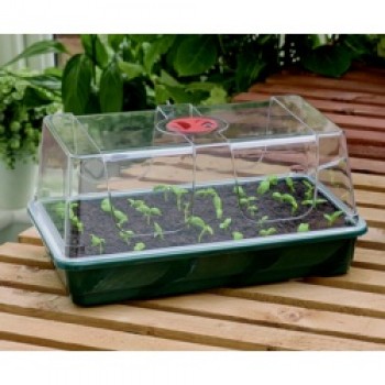 High Dome Propagator - Large