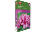 Ericaceous Compost - 40L