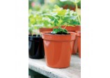 Flower Pot Terracotta - 8