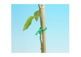 Twist Tie - 6m