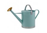 Metal Watering Can - Green 2 Gallon