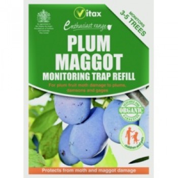 Plum Maggot Trap - 35g Refill Pack
