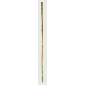 Bamboo Canes - 2&rsquo; Pack of 20