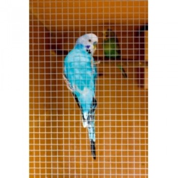 Cage & Aviary Welded Panel - 0.6 x 0.9m Mesh size: 13x13mm