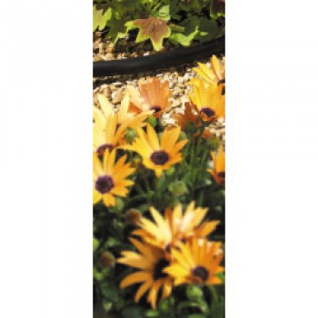 Supply Hose - 4mm (10m)